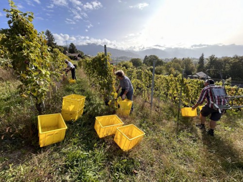 Clos d'Oron