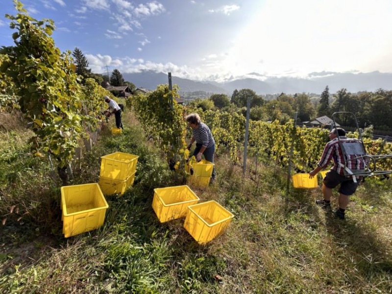 Clos d'Oron